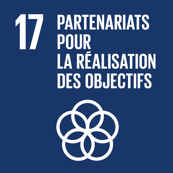 17 — Partenariats pour la réalisation des objectifs