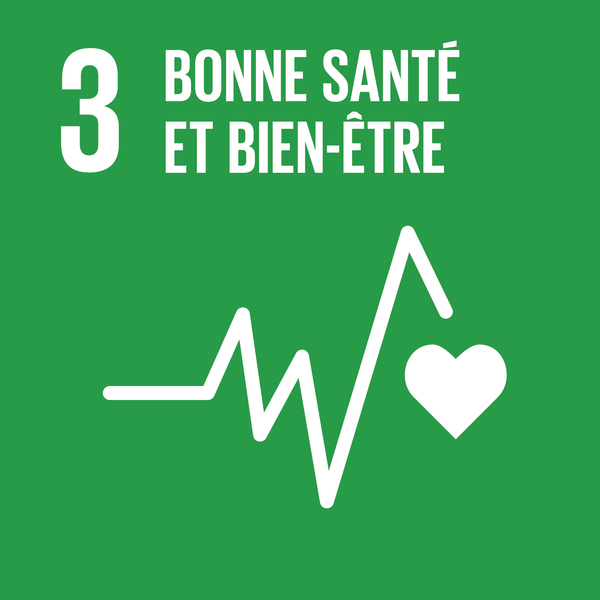 3 — Bonne santé et bien-être